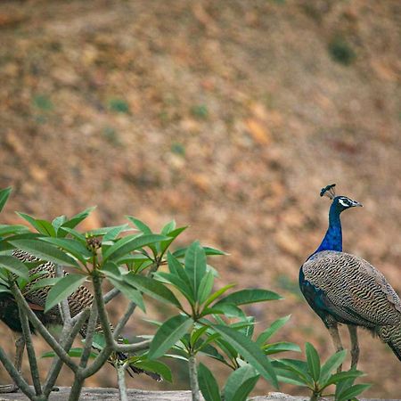Open House By Stayvista - Nestled In Nature, Featuring A Swimming Pool & Expansive Lawn For A Serene Retreat Shikrapur Экстерьер фото